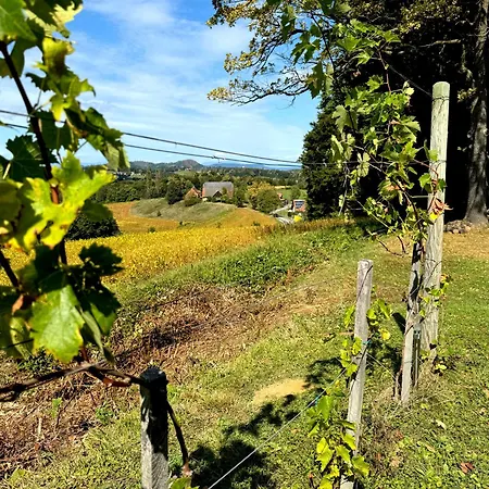 Ferienhaus Panorama - Gamlitz