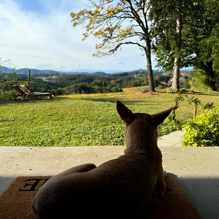 펜션 Panorama - 게믈리츠