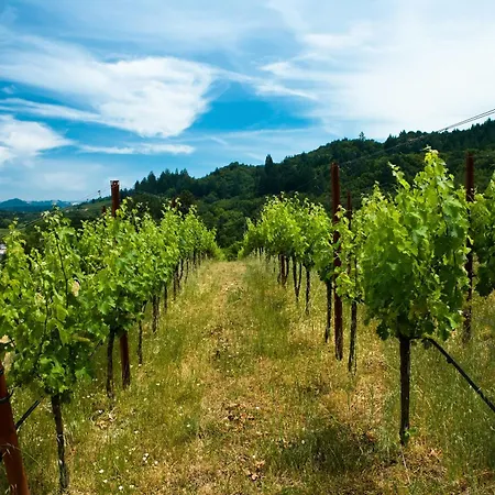 펜션 Panorama - 게믈리츠