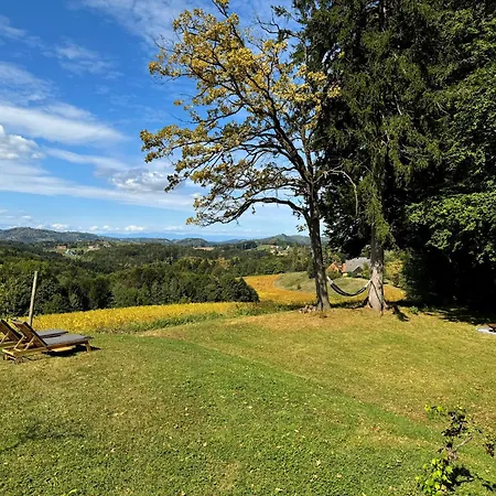 Ferienhaus Panorama - *