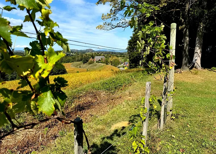 Ferienhaus Panorama - Gamlitz