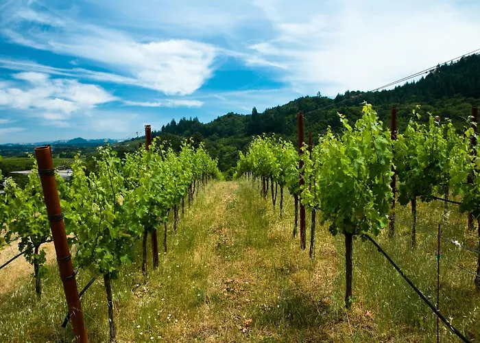 Ferienhaus Panorama - Gamlitz